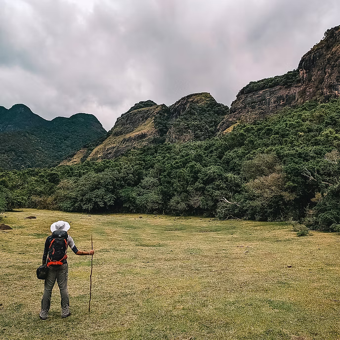 Essential Sri Lanka Express