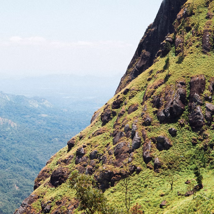 Island Adventure Tour